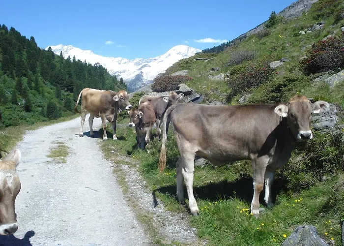 Gasthuis Gastehaus Rieser