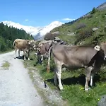 Vendégház Gastehaus Rieser