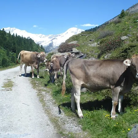 Πανσιόν Gastehaus Rieser